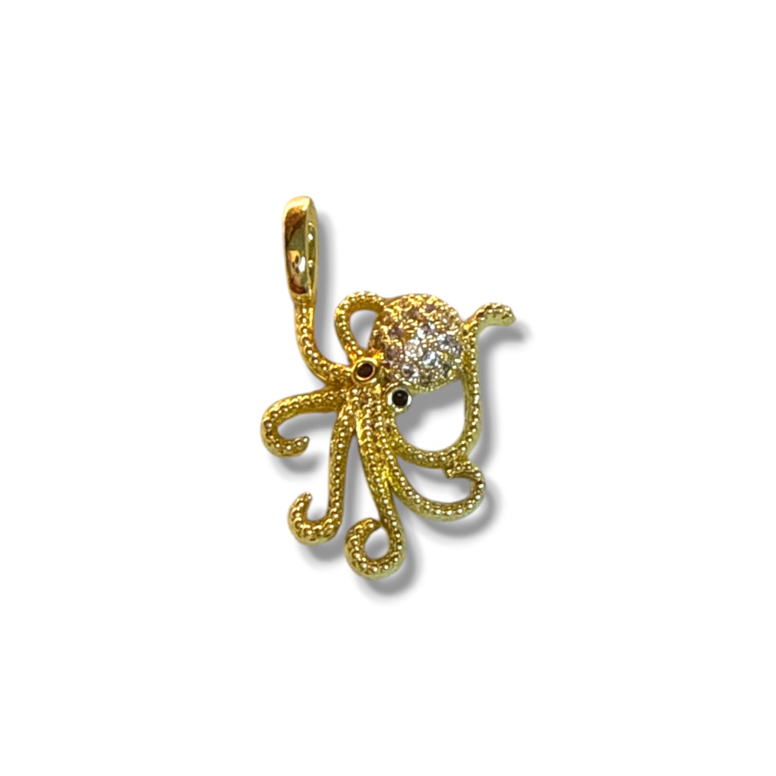 OCTOPUS