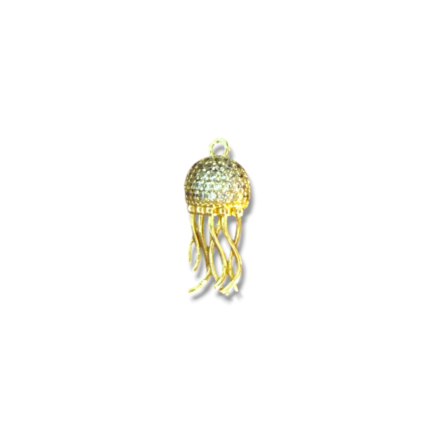 JELLYFISH