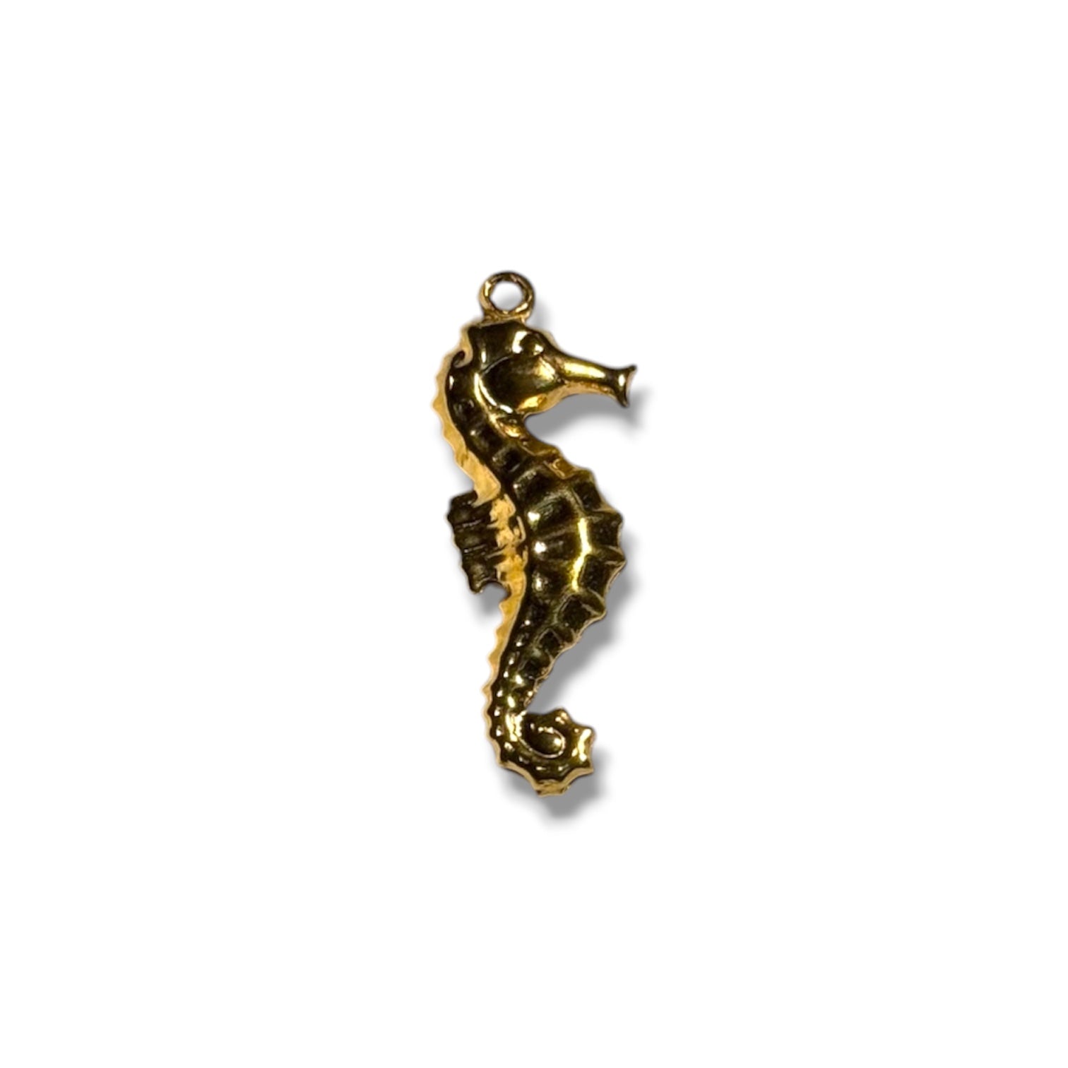 SEAHORSE “”