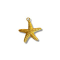 STAR ⭐️