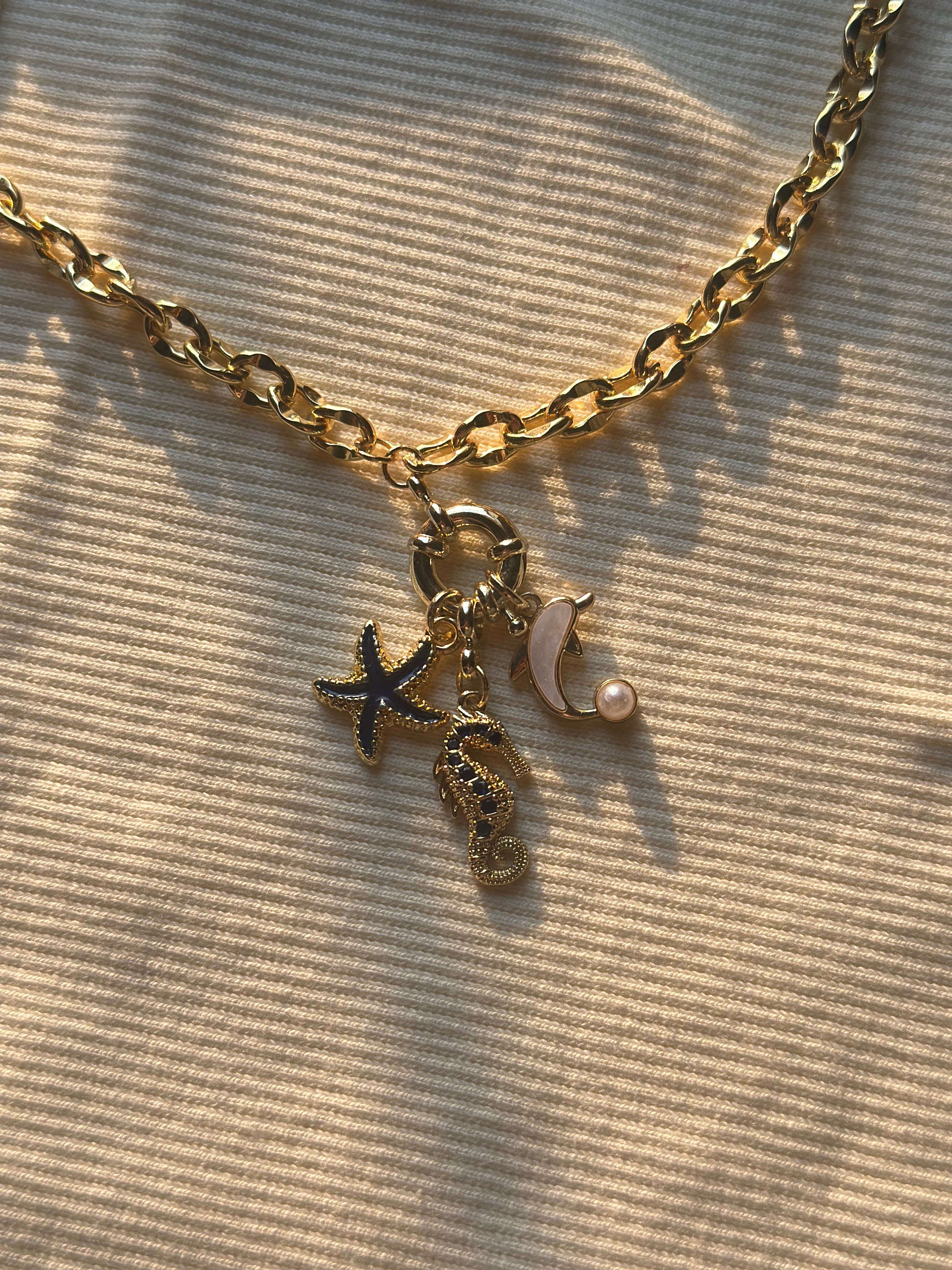 SEA FAV